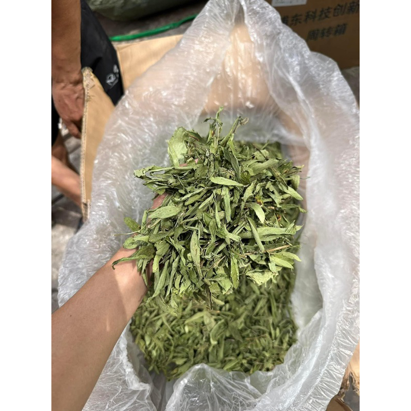 Cỏ Ngọt Nguyên Lá Sấy Lạnh Tự Nhiên Loại Cao Cấp Cho Người Tiểu Đường