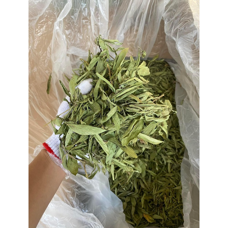 Cỏ Ngọt Nguyên Lá Sấy Lạnh Tự Nhiên Loại Cao Cấp Cho Người Tiểu Đường