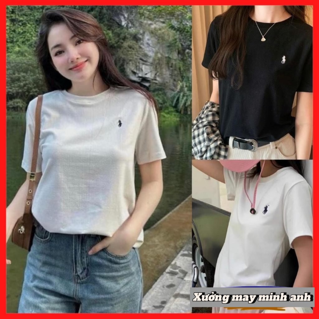 Aó Phông Nữ Cotton Tàu Thêu Ngựa Cổ Tròn Form Rộng Freesize Mã 886 | BigBuy360 - bigbuy360.vn