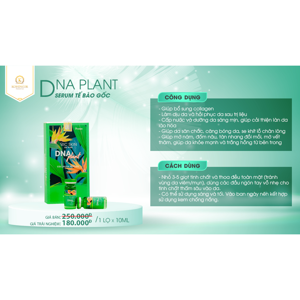 Ảnh Combo viên uống đẹp da mờ nám Tảo Sâm Kohinoor 45 viên & serum DNA plant Kohinoor 10ml 4