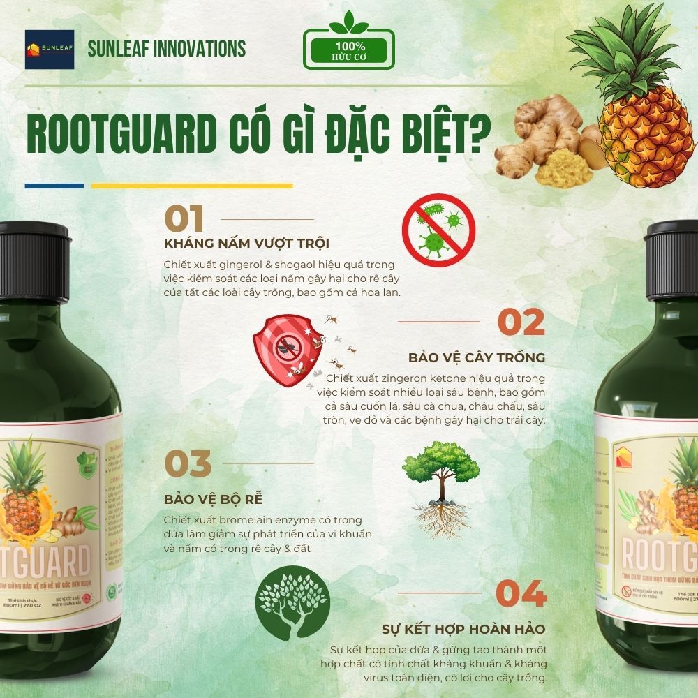 Combo Kích Rễ & Kích Mầm | Giảm Nấm Rễ, Thối Rễ | 100% Hữu Cơ | Rau, Phong Lan, Hoa Hồng | SUNLEAF