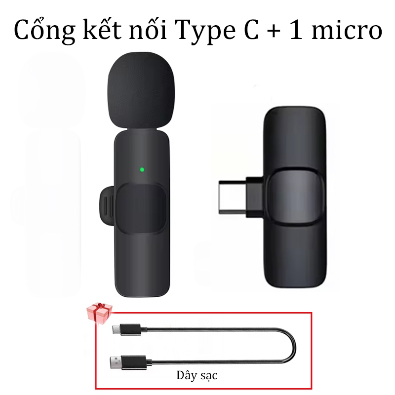 Type C + 1 Mic