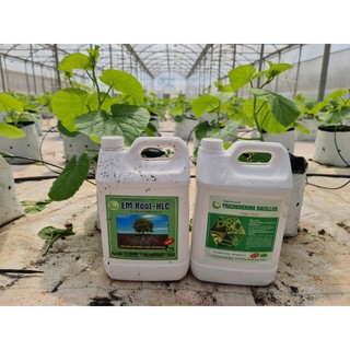 Combo 2 can 5L trichoderma và em root phòng héo xanh, thối rễ, kích rễ, dưỡng rễ, bén rễ nhanh