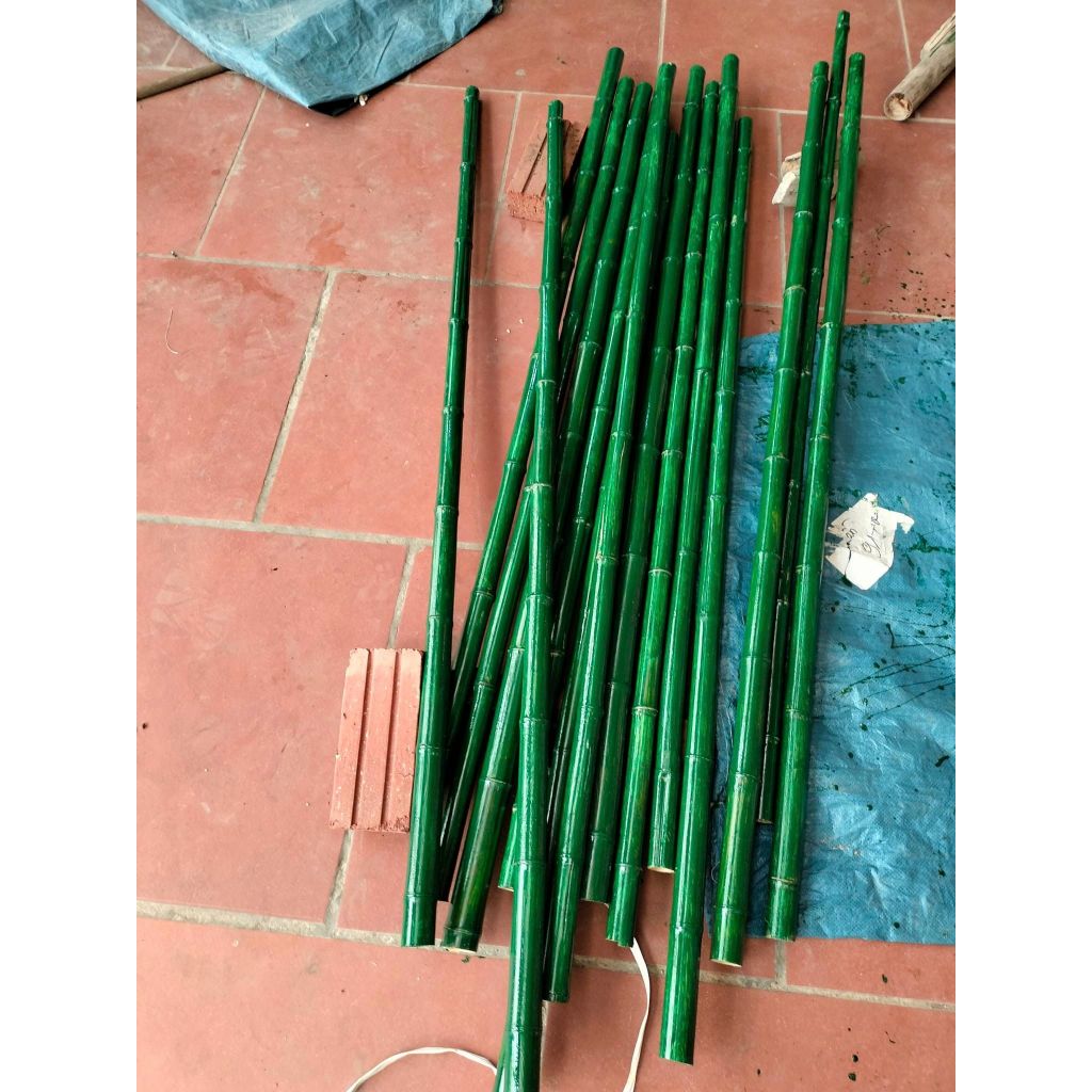 [HÀNG SẴN HÀ NỘI] Cây tre đạo cụ múa biểu diễn văn nghệ màu xanh dài ...