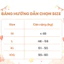 Quần Lót Dùng 1 Lần Miễn Giặt Cao Câp Tâm Long Mềm Mại Thoáng Khí Size M L XL XXL - Bibomart