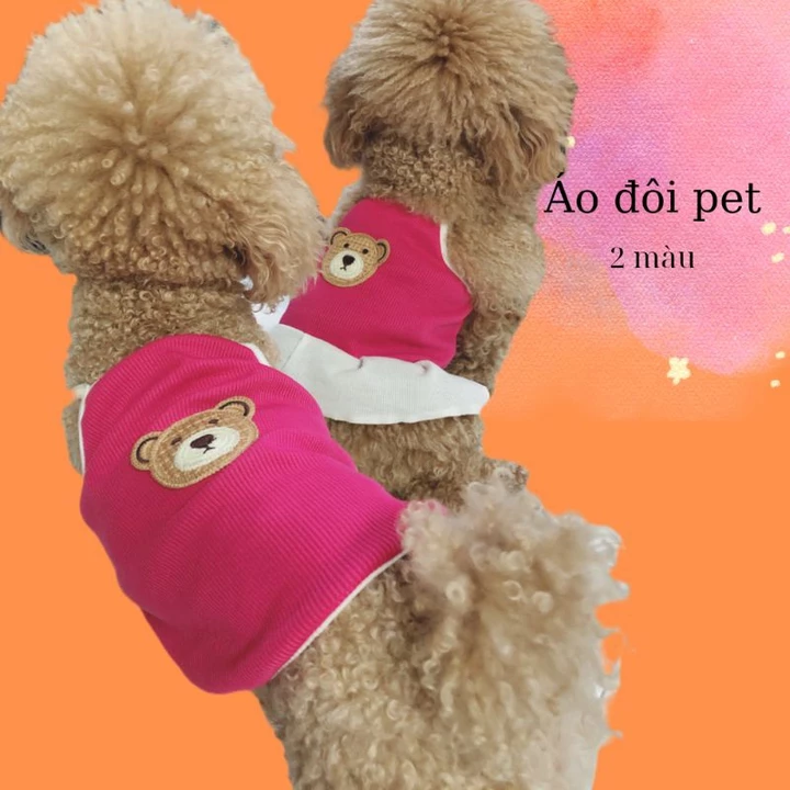 Áo đôi cho pet, boss, hoàng thượng, đầm cho chó mèo, đồ đôi cho chó mèo
