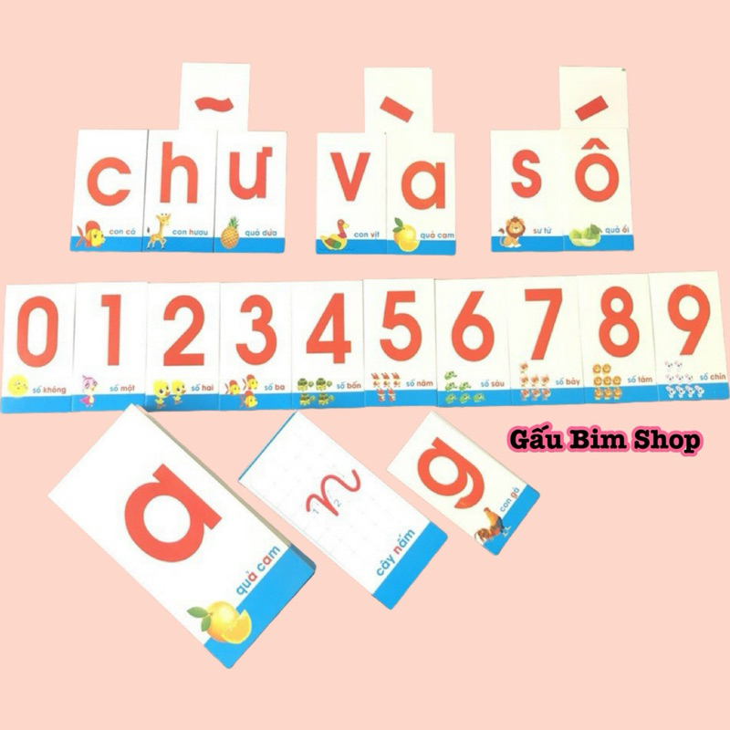 Bộ thẻ học Thông Minh nhận biết Chữ cái và Số – 40 thẻ – 3 kích thước – dành cho cô và trò