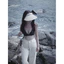 Áo bra cài dây cổ bảng lưng to chất linen thoáng mát - handmade by Mimi house
