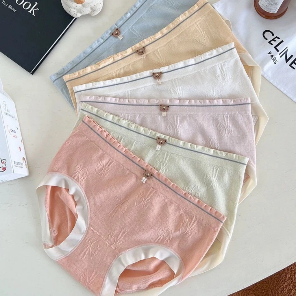 Hộp 6 quần lót nữ, Quần lót nữ gấu chất cotton kháng khuẩn