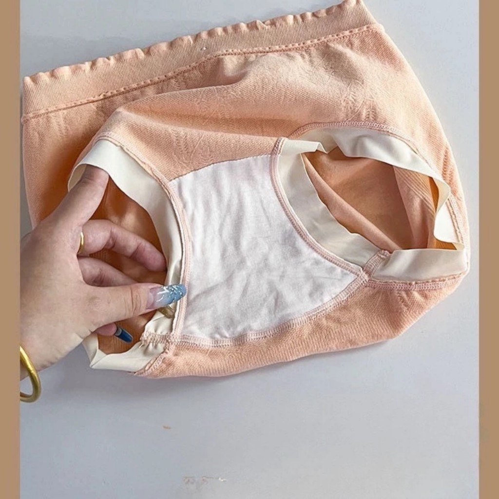 Hộp 6 quần lót nữ, Quần lót nữ gấu chất cotton kháng khuẩn