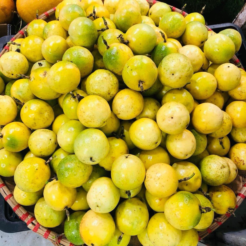 chanh leo vàng ngọt thơm vị ổi | Shopee Việt Nam