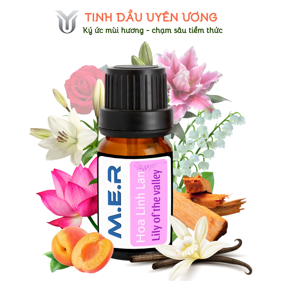 Sử dụng Lọ Tinh Dầu trong đời sống