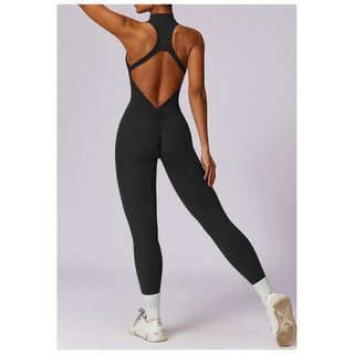 Bộ Đồ Tập Thể Thao Gym, Yoga Liền Thân Jumpsuits Poly Dây Kéo Hở Lưng Cao Cấp (suit534)