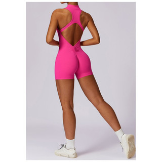Bộ Đồ Tập Thể Thao Gym, Yoga Liền Thân Jumpsuits Poly Dây Kéo Hở Lưng Cao Cấp (suit534)