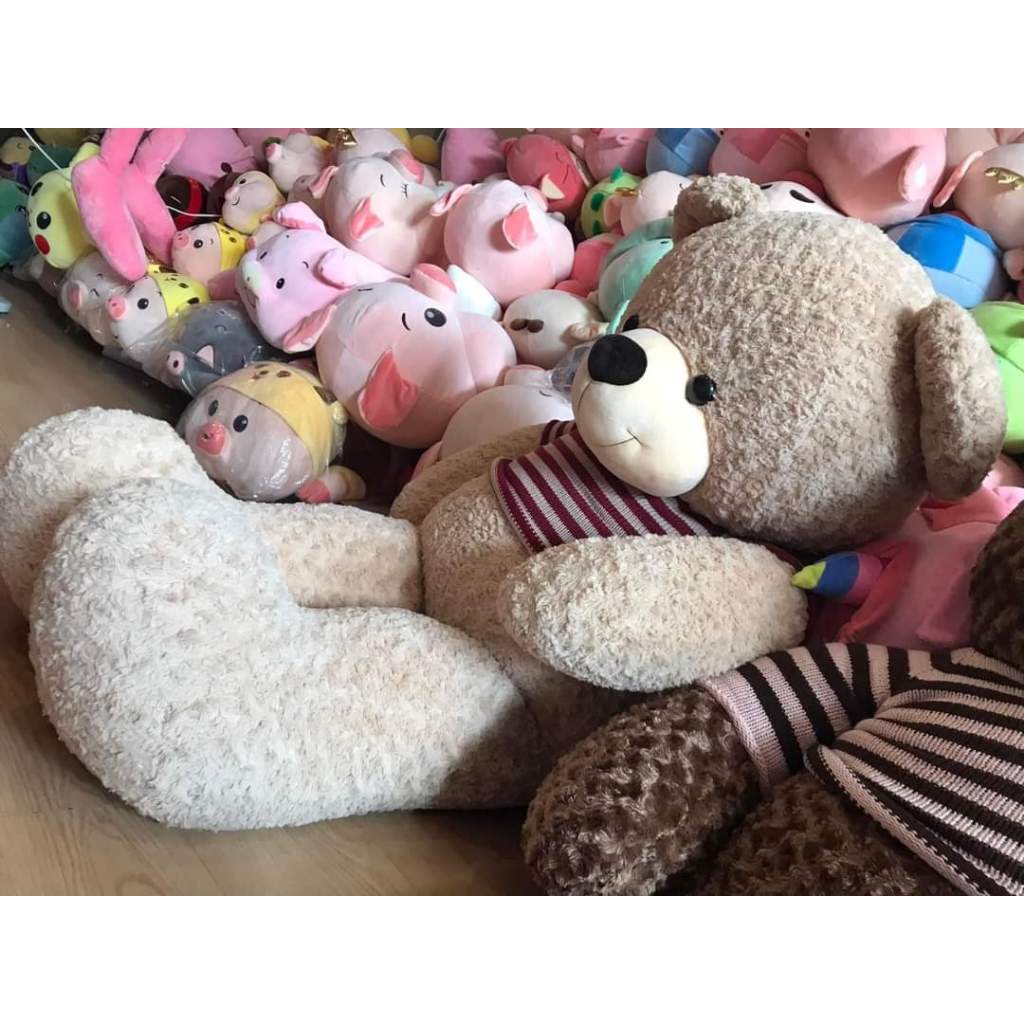 Gấu bông ôm ngủ teddy cao cấp Gấu bông ôm teddy mặc áo đáng yêu chất liệu thân thiện kích thước siêu to từ 80 đến 150 cm