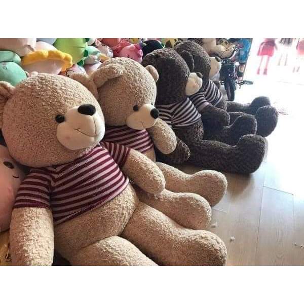 Gấu bông ôm ngủ teddy cao cấp Gấu bông ôm teddy mặc áo đáng yêu chất liệu thân thiện kích thước siêu to từ 80 đến 150 cm