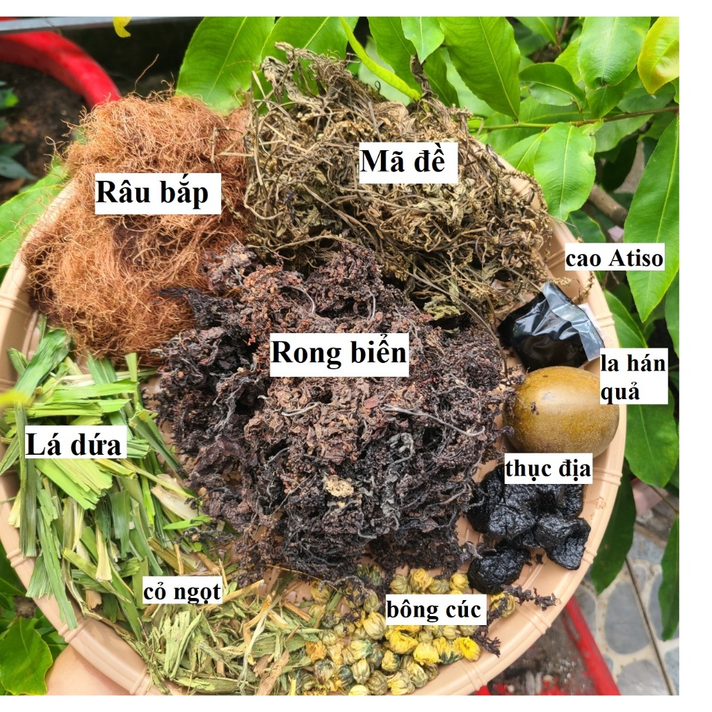 Sâm rong biển 10 vị nấu 8-10 lít nước sâm thơm ngon | Shopee Việt Nam