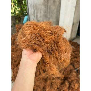1kg Râu Ngô [ hàng phơi nắng ] khô nhặt sạch, mới LOẠI 1