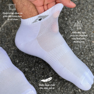 [ Combo 10 Đôi ] Tất Nam Cổ Ngắn Logo Chun T&T SOCKS Co Giãn Lưới Thoáng khi - NAM203