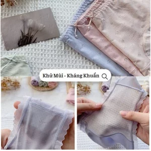 Quần lót nữ viền mảnh cao cấp cotton kháng khuẩn, đáy lót 2 lớp - A292 | THỜI TRANG 12H