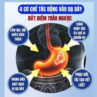 [Trào ngược,ợ hơi] Trà dạ dày Fengcha giúp giảm ợ nóng,ợ hơi, trào ngược, đau thượng vị bịch 30 lọc