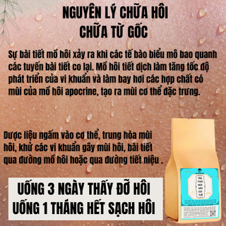 [Detox mùi hôi] Trà detox thải độc mùi hôi cơ thể Fengcha cho người có nhiều mồ hôi, mồ hôi nặng mùi bịch 30 gói lọc