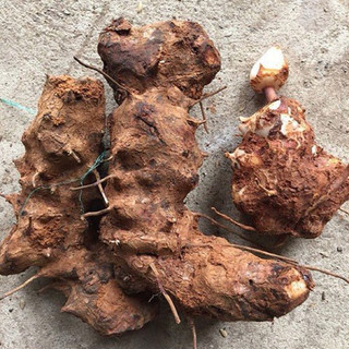 1kg Thổ phục linh (  Củ khúc khắc ) khô sạch đẹp LOẠI 1