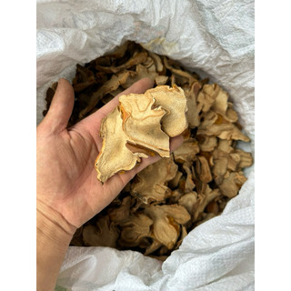 1KG Cẩu Tích Thái Lát [ Sấy khô sạch ] LOẠI 1