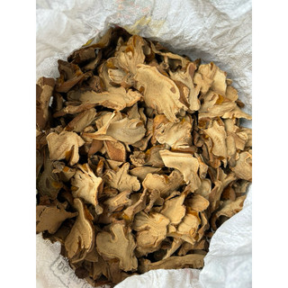 1KG Cẩu Tích Thái Lát [ Sấy khô sạch ] LOẠI 1