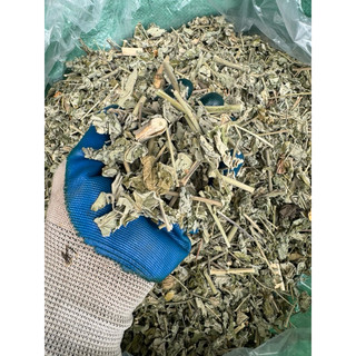 1KG Cây Cối Xay [ phơi nắng khô sạch ] LOẠI 1