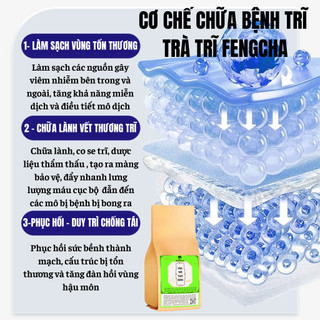 Trà trĩ Fengcha trĩ nội trĩ ngoại, ngứa trĩ, chấm dứt cơn đau trĩ bịch 30 gói lọc