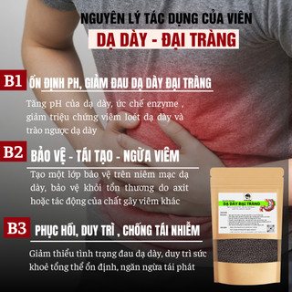 [Dạ dày mãn tính] Viên uống dạ dày đại tràng Fengcha cho người đau dạ dày đại tràng quanh năm bịch 450 viên