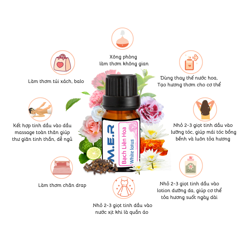 Thiết Kế Của Lọ Tinh Dầu Thiênhiên