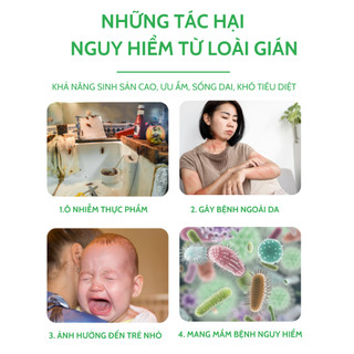 Thuốc diệt gián sinh học AMB, Viện Hàn lâm khoa học Việt Nam, diệt tận gốc tất cả các loại gián, hiệu quả, an toàn.