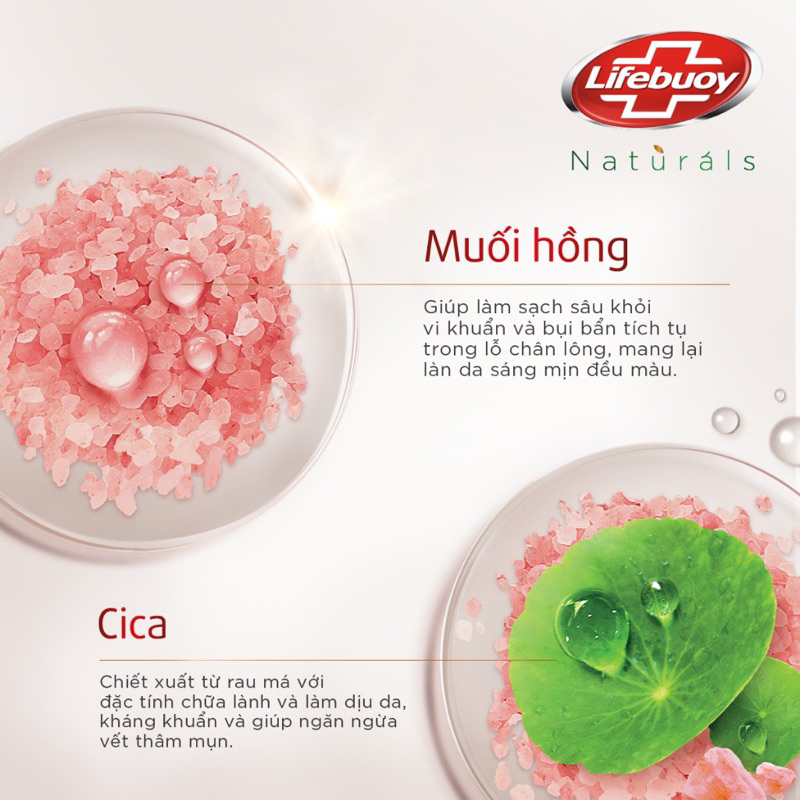 Sữa tắm Lifebuoy Detox Matcha Khổ Qua, Muối hồng, Than Hoạt Tính, Cà Phê, Băng Vĩnh Cửu 800gr