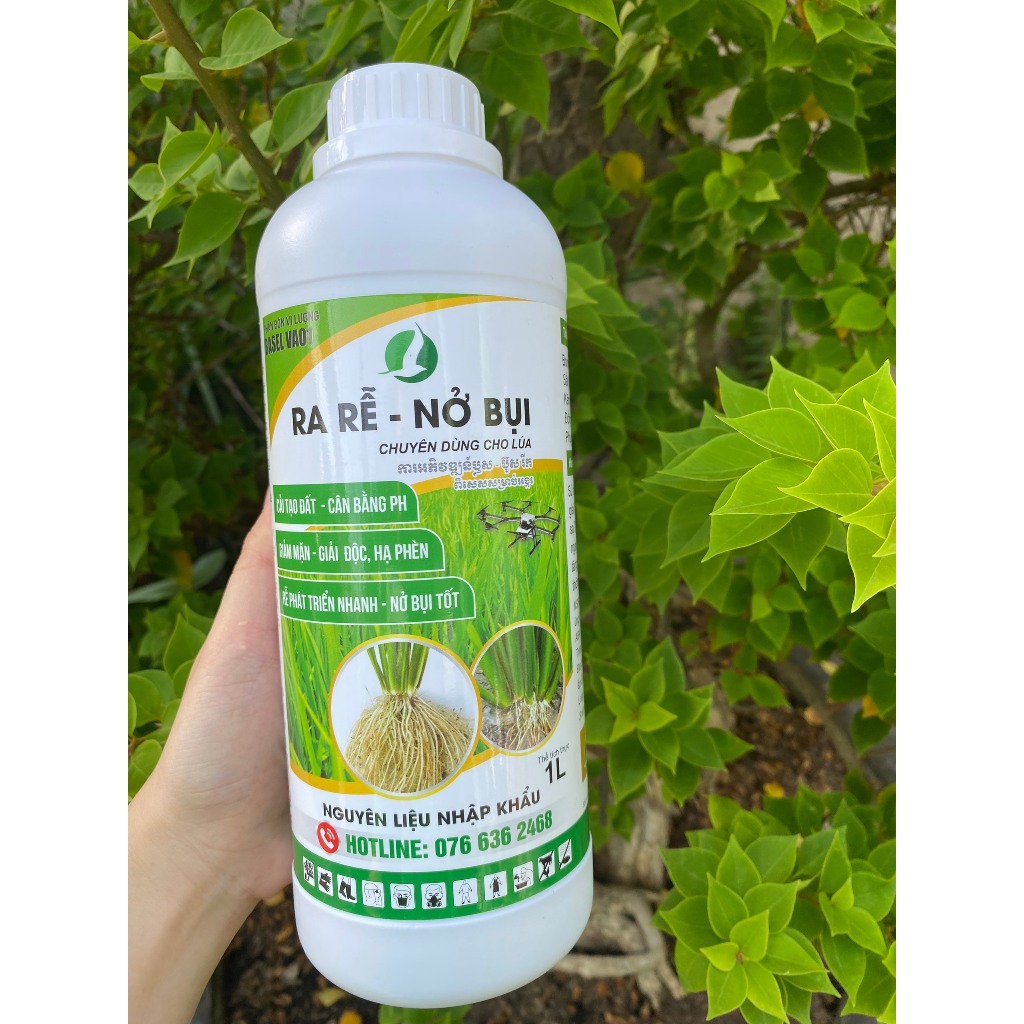 RA RỄ NỞ BỤI LÚA CHAI 1 LÍT. Phân bón vi lượng cho cây lúa | Shopee ...