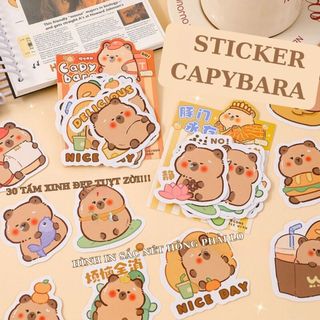 Sticker Capybara To Hình Dán Chống Nước Cute Set 30 Tấm Timo ST106