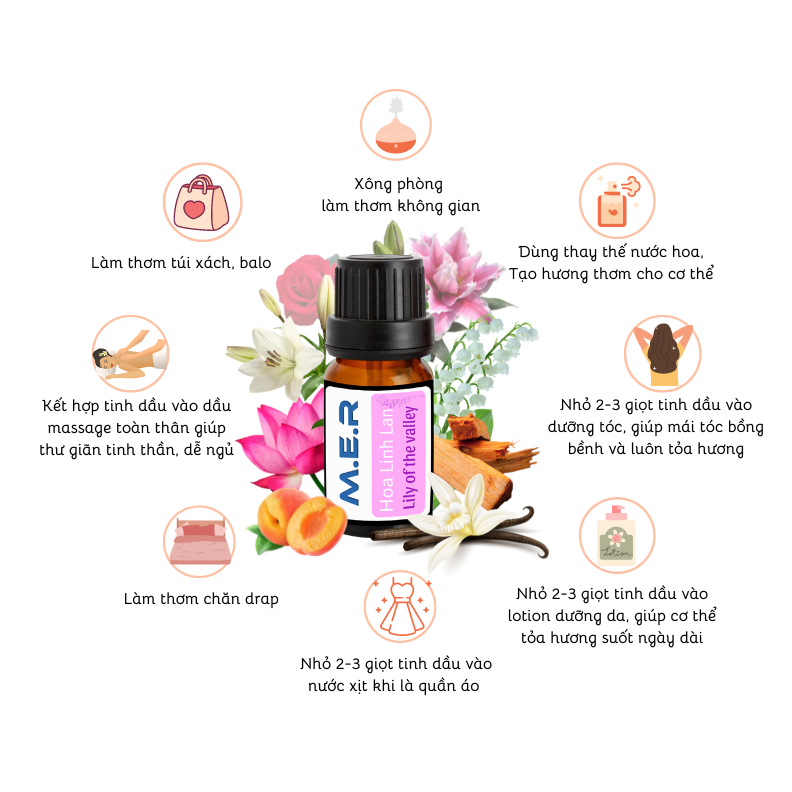 Thiết kế của Lọ Tinh Dầu Thiênhiên