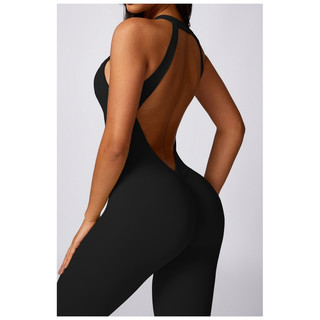Bộ đồ tập thể thao gym,yoga nữ liền thân jumsuiy mẫu thiết kế cao cấp(suit602)