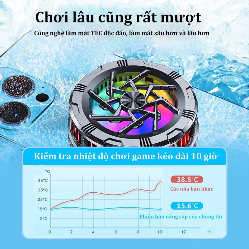 Ảnh 7