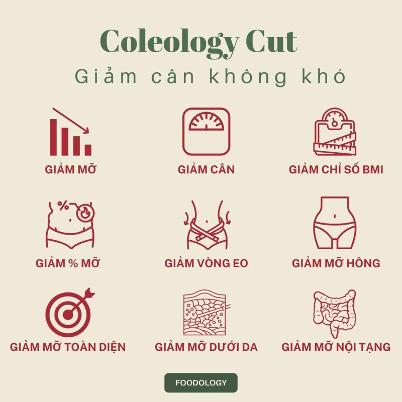 Viên uống hỗ trợ giảm cân Foodology Coleology Cut 60 viên Giúp Eo thon, Thải độc, Kiểm soát cân nặng