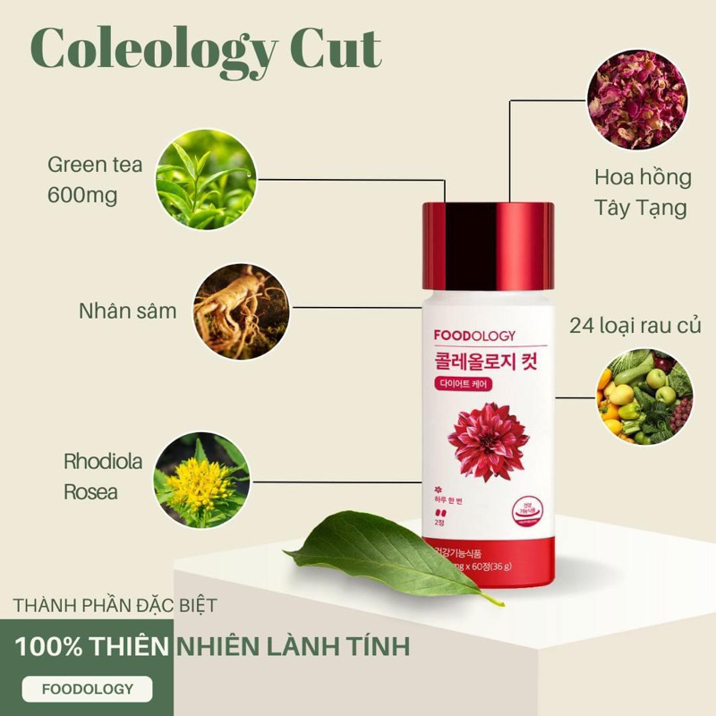 Viên uống hỗ trợ giảm cân Foodology Coleology Cut 60 viên Giúp Eo thon, Thải độc, Kiểm soát cân nặng