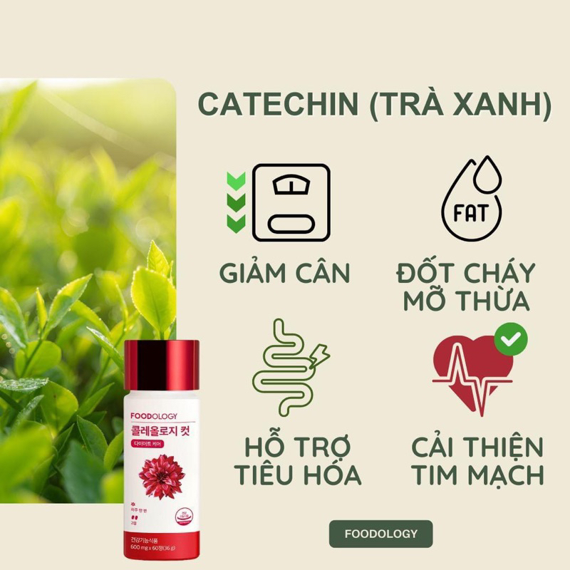 Viên uống hỗ trợ giảm cân Foodology Coleology Cut 60 viên Giúp Eo thon, Thải độc, Kiểm soát cân nặng