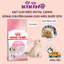 Thức Ăn Hạt Royal Canin Dòng Chuyên Dành Cho Mèo Mẹ Và Mèo Con Túi 400g - KIKINO