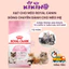 Thức Ăn Hạt Royal Canin Dòng Chuyên Dành Cho Mèo Mẹ Và Mèo Con Túi 400g - KIKINO