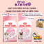 Thức Ăn Hạt Royal Canin Dòng Chuyên Dành Cho Mèo Mẹ Và Mèo Con Túi 400g - KIKINO
