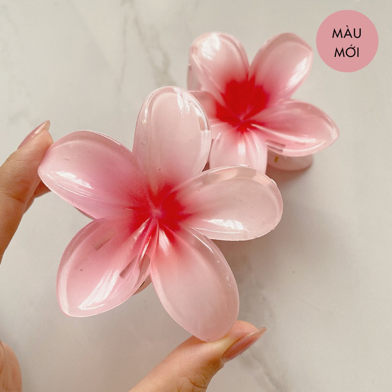 Sứ Hồng Dịu