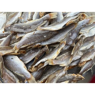 Khô cá đù ít xương, dày thịt, thơm ngon, bỗ dưỡng cho mỗi bữa cơm, đảm bảo an toàn thực phẩm