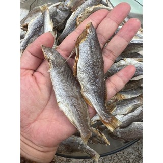 Khô cá đù ít xương, dày thịt, thơm ngon, bỗ dưỡng cho mỗi bữa cơm, đảm bảo an toàn thực phẩm