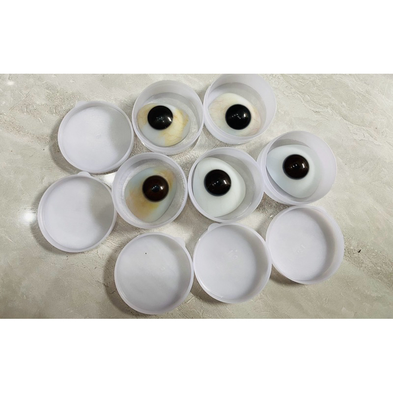 mắt giả test lens | Shopee Việt Nam